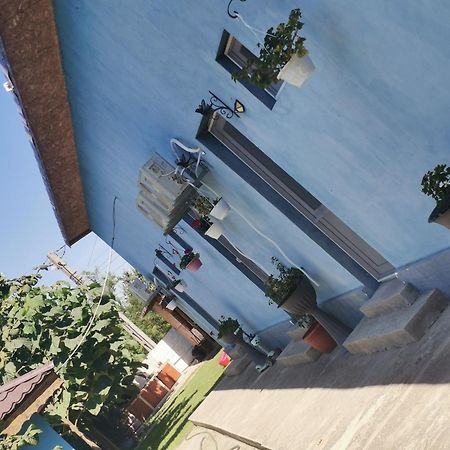 Hotel Casa Andrei A Corbu  Zewnętrze zdjęcie